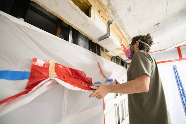 Reliable Athena, OR Mold Removal Solutions