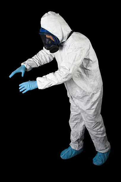 Best Asbestos and Lead Testing During Mold Inspection  in Athena, OR